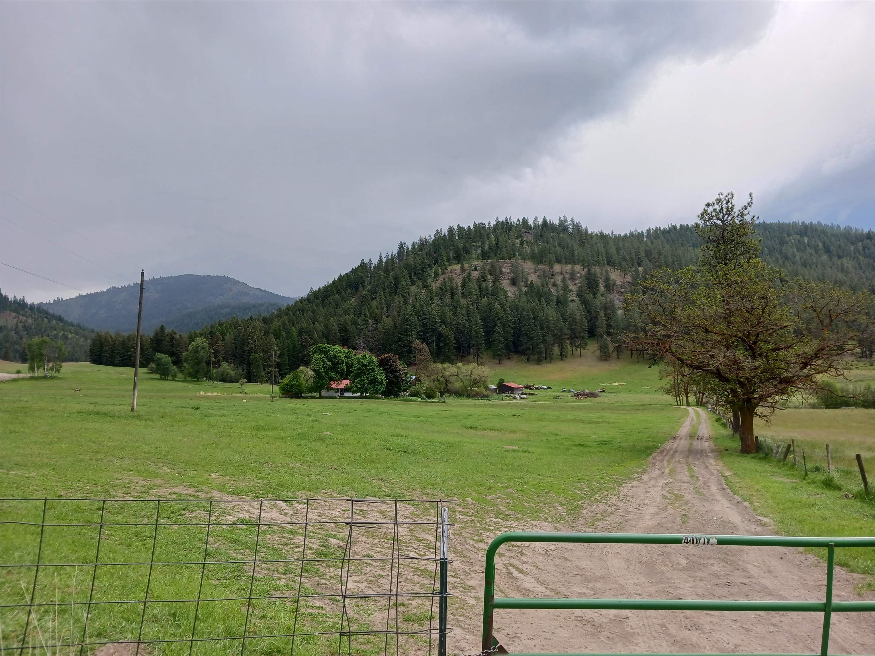 Parcel C Daisy Mine Road Rice, WA 99167 - Photo 22 of 33