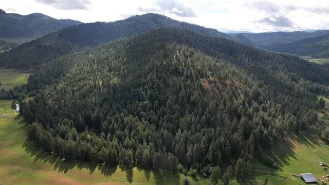 $64,999 | Parcel C Daisy Mine Road, Rice, WA 99167