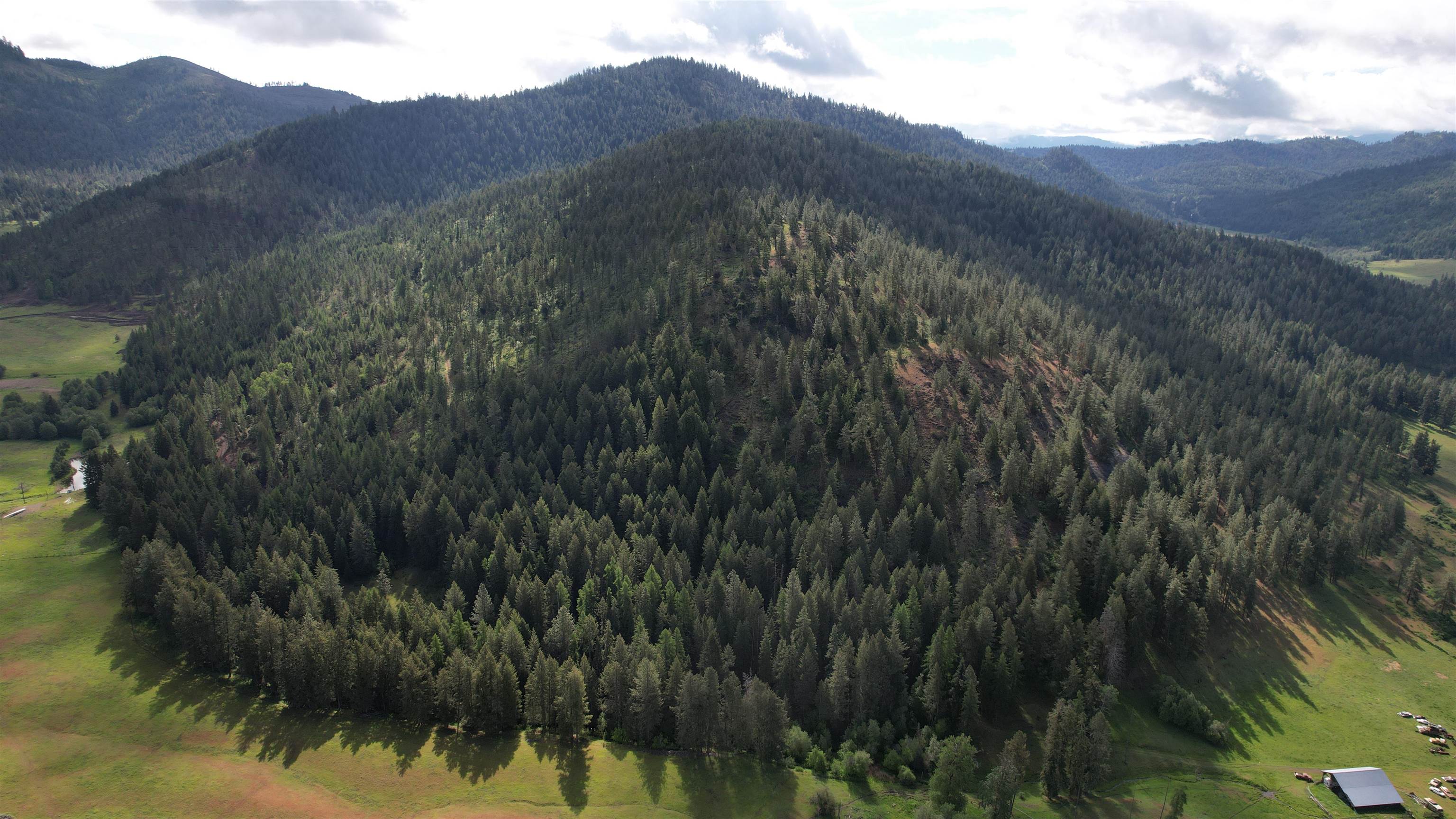 Parcel C Daisy Mine Road Rice, WA 99167 - Photo 31 of 33