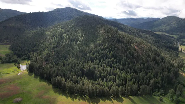 $64,999 | Parcel C Daisy Mine Road, Rice, WA 99167