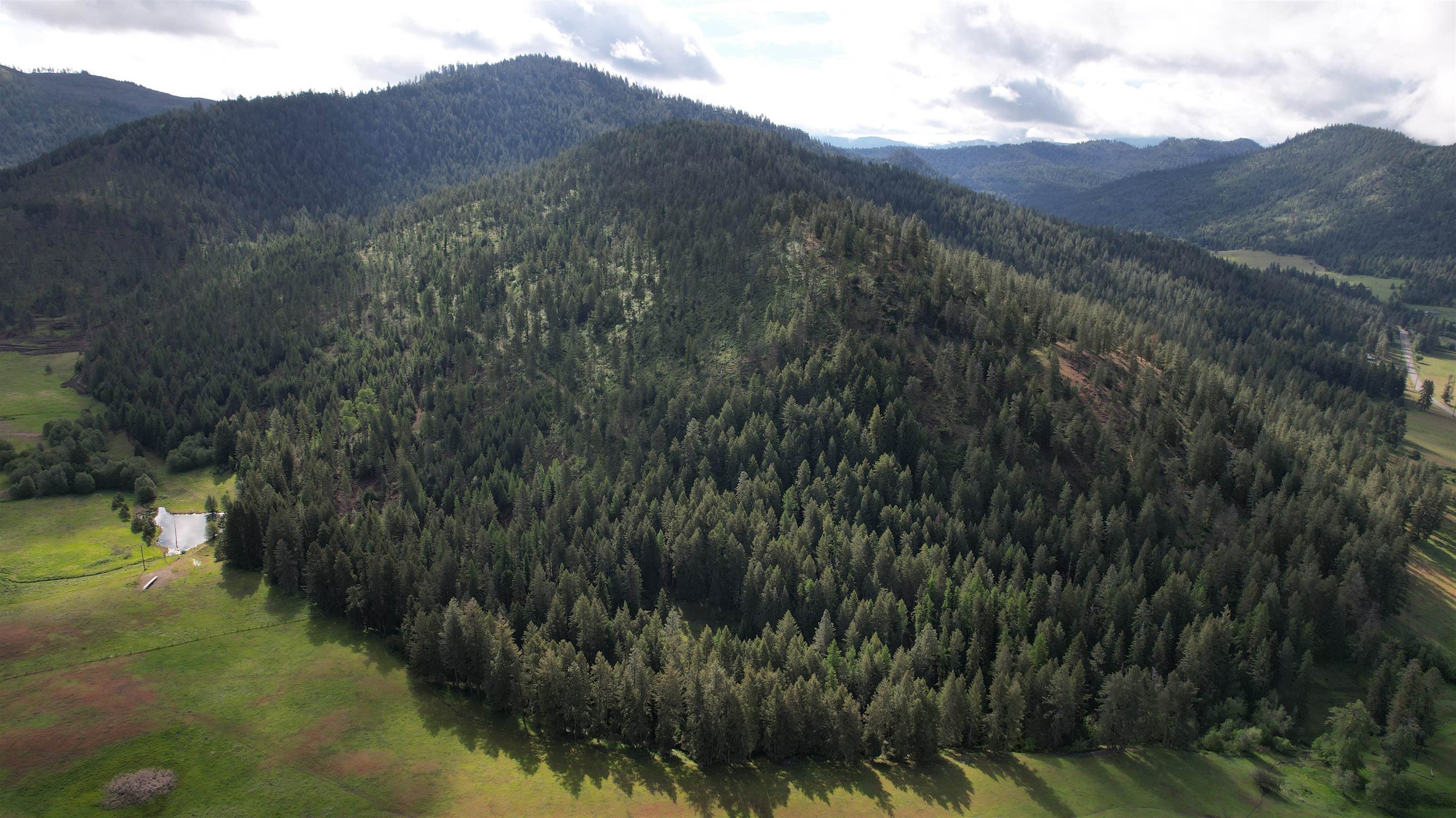 Parcel C Daisy Mine Road Rice, WA 99167 - Photo 32 of 33