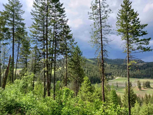 $64,999 | Parcel C Daisy Mine Road, Rice, WA 99167