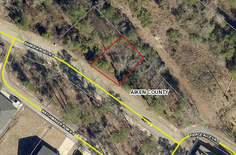216 Banksia Road Aiken, SC 29803 - Photo 2 of 3