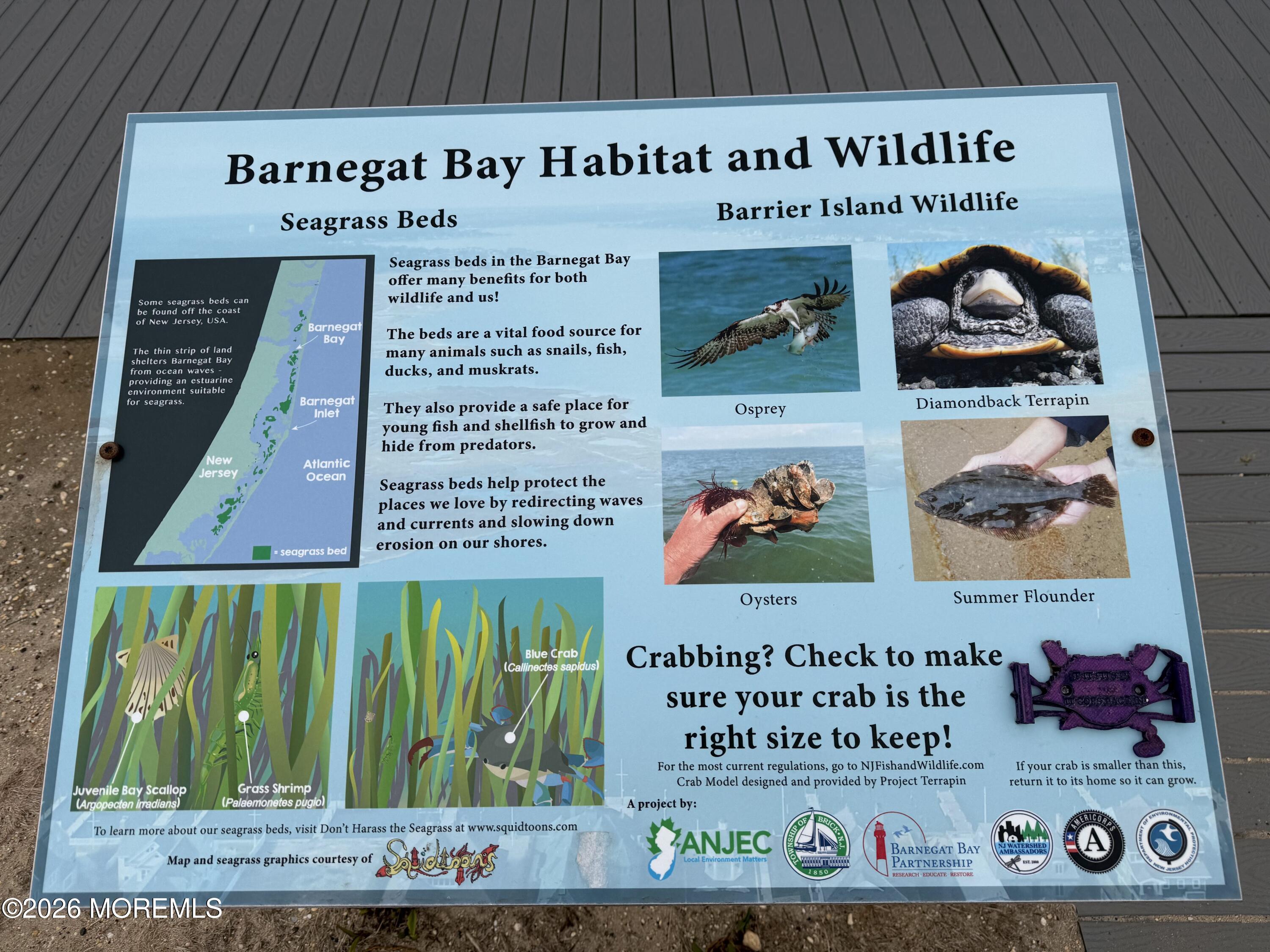 28 Shell Road, Unit 127 Mantoloking, NJ 08738 - Photo 19 of 26 IMG_1508