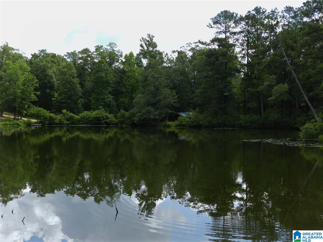 170 Mockingbird Lane Sterrett, AL 35147 - Photo 22 of 27