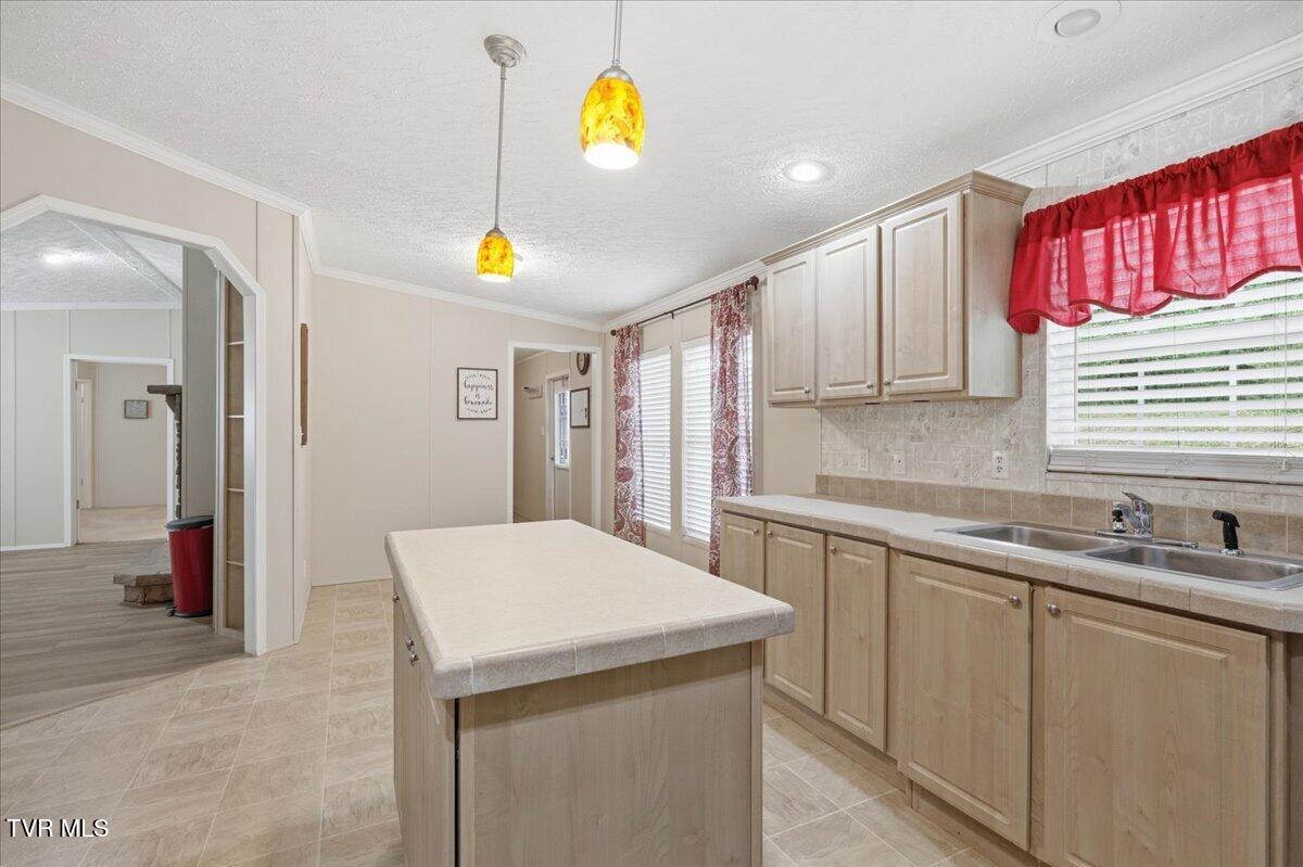 1405 River Road New Market, TN 37820 - Photo 10 of 25 09-006_7K9A8956