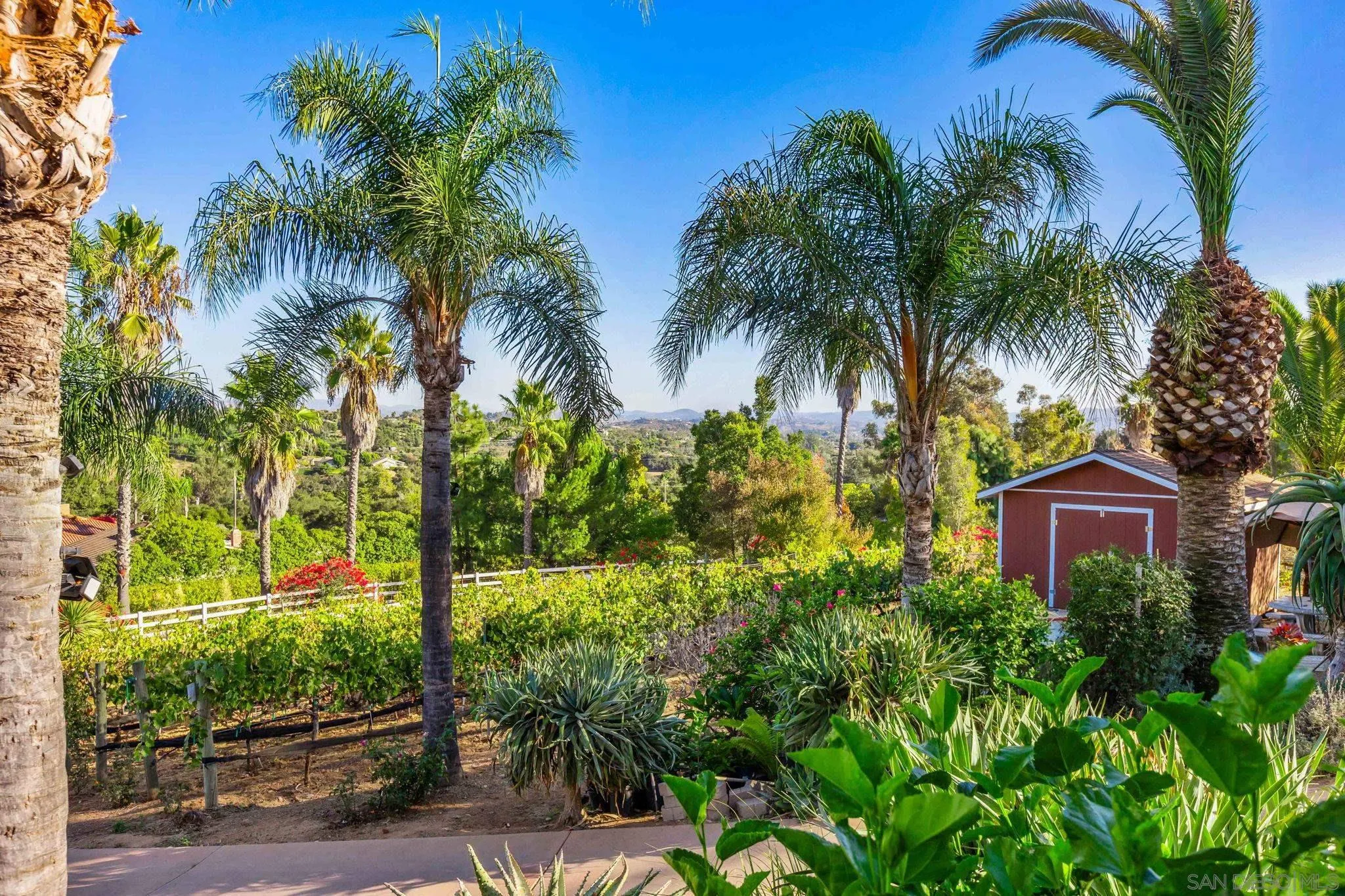 2302 Casitas Del Sol Fallbrook, CA 92028 - Photo 37 of 46 a view of a yard with a palm tree