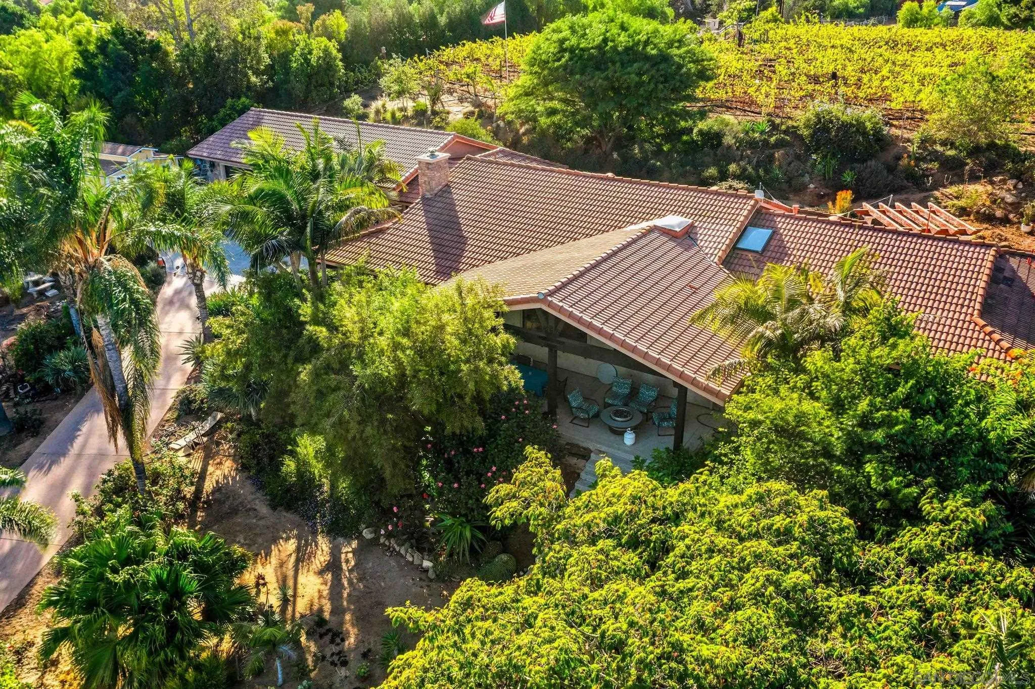 2302 Casitas Del Sol Fallbrook, CA 92028 - Photo 39 of 46 a view of a backyard with plants
