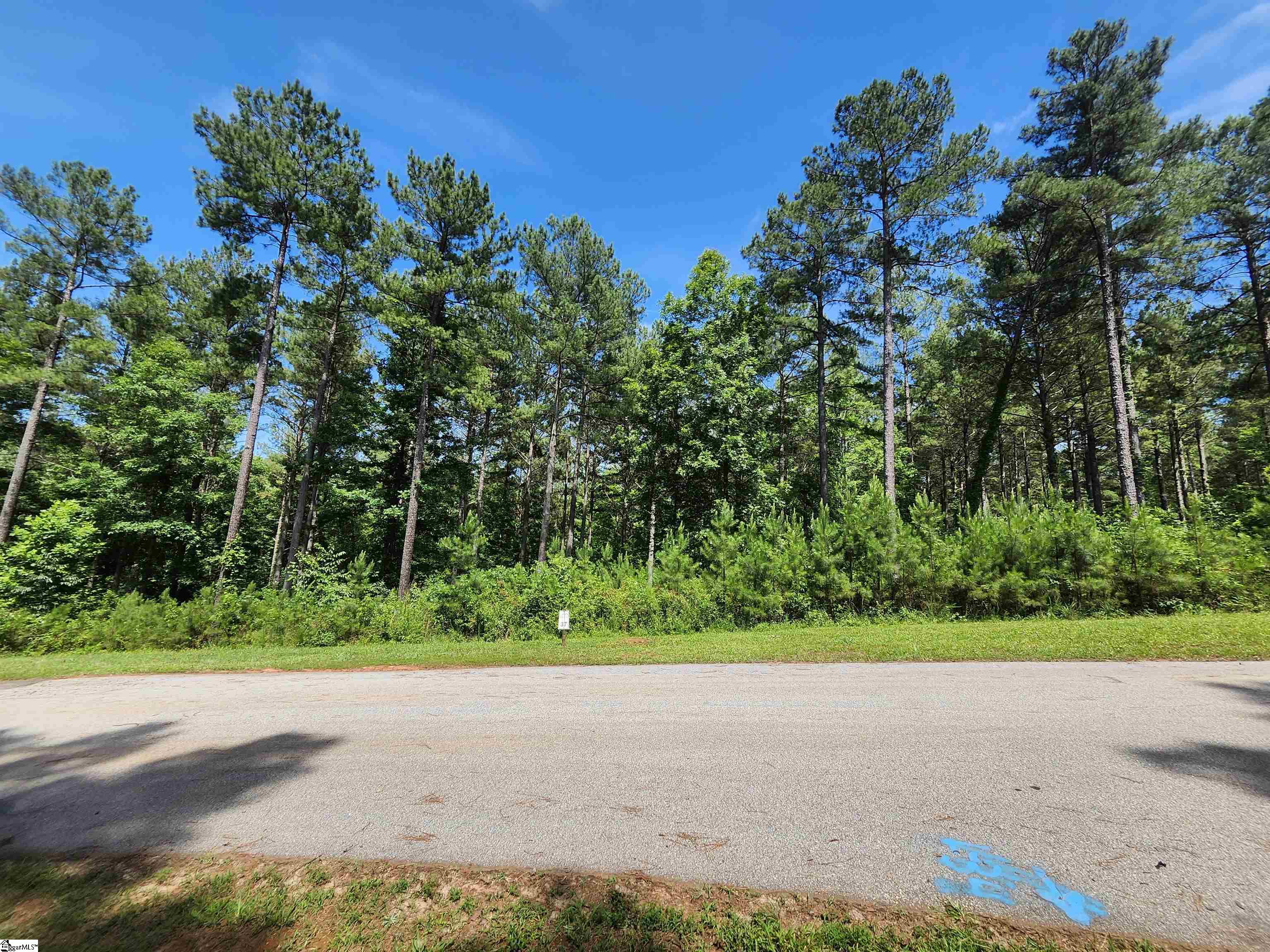 0 High Hampton Road, Unit LOT 37 HIGHLAND SHORES AT KEOWEE Salem, SC 29676 - Photo 9 of 27
