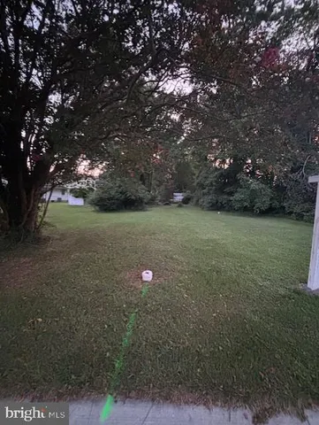 a view of a field with a tree