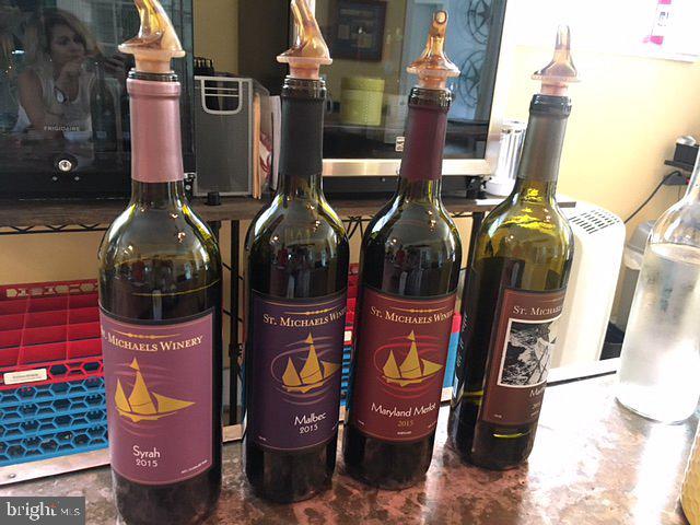 300 Perry Street St. Michaels, MD 21663 - Photo 4 of 10 Visit St. Michael's winery!