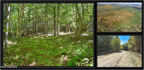 $59,900 | 71 Carriage Knoll Road, Chestertown, NY 12817