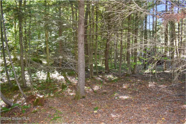 $59,900 | 71 Carriage Knoll Road, Chestertown, NY 12817