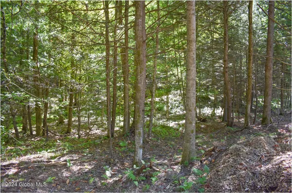 $59,900 | 71 Carriage Knoll Road, Chestertown, NY 12817