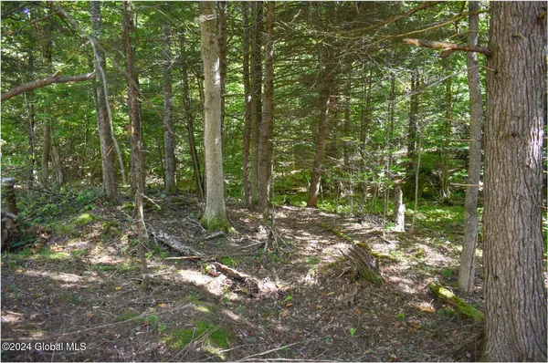 $59,900 | 71 Carriage Knoll Road, Chestertown, NY 12817