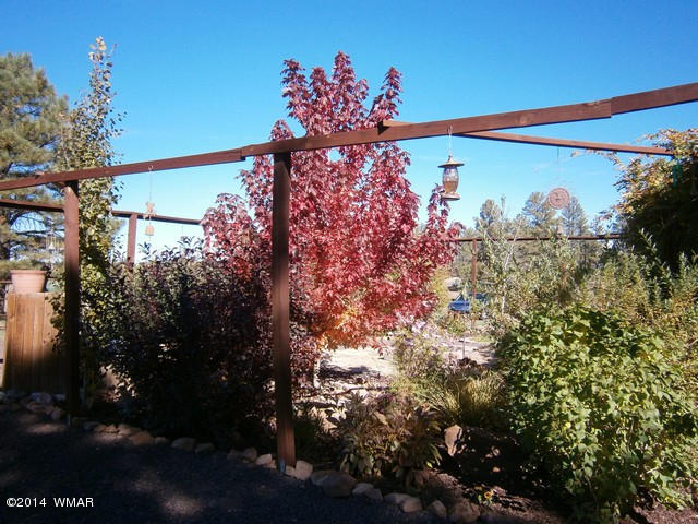 7035 Kings High Road Show Low, AZ 85901 - Photo 24 of 38 Gallery Image 24