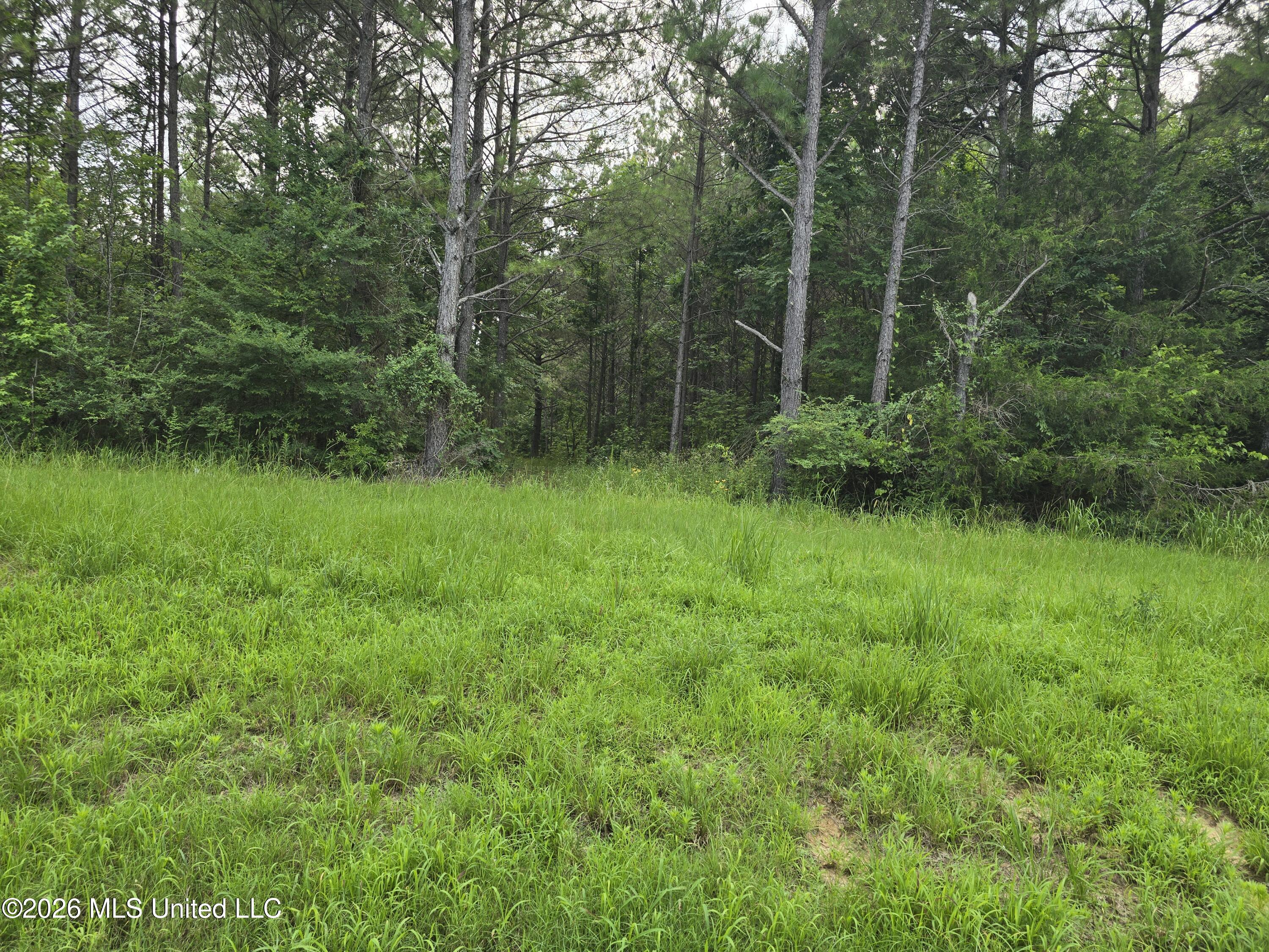 4 Gravel Springs Road Senatobia, MS 38668 - Photo 4 of 4 Gravel Spring Rd 4
