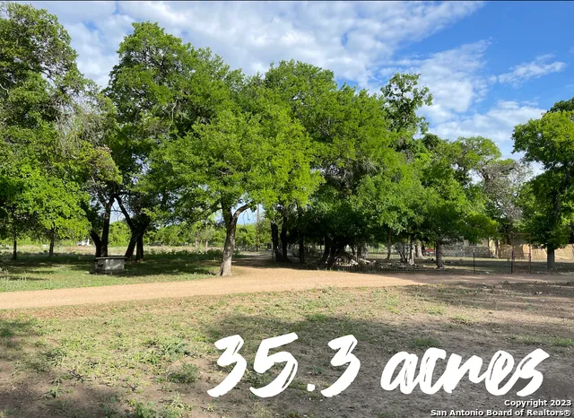a view of a yard with plants