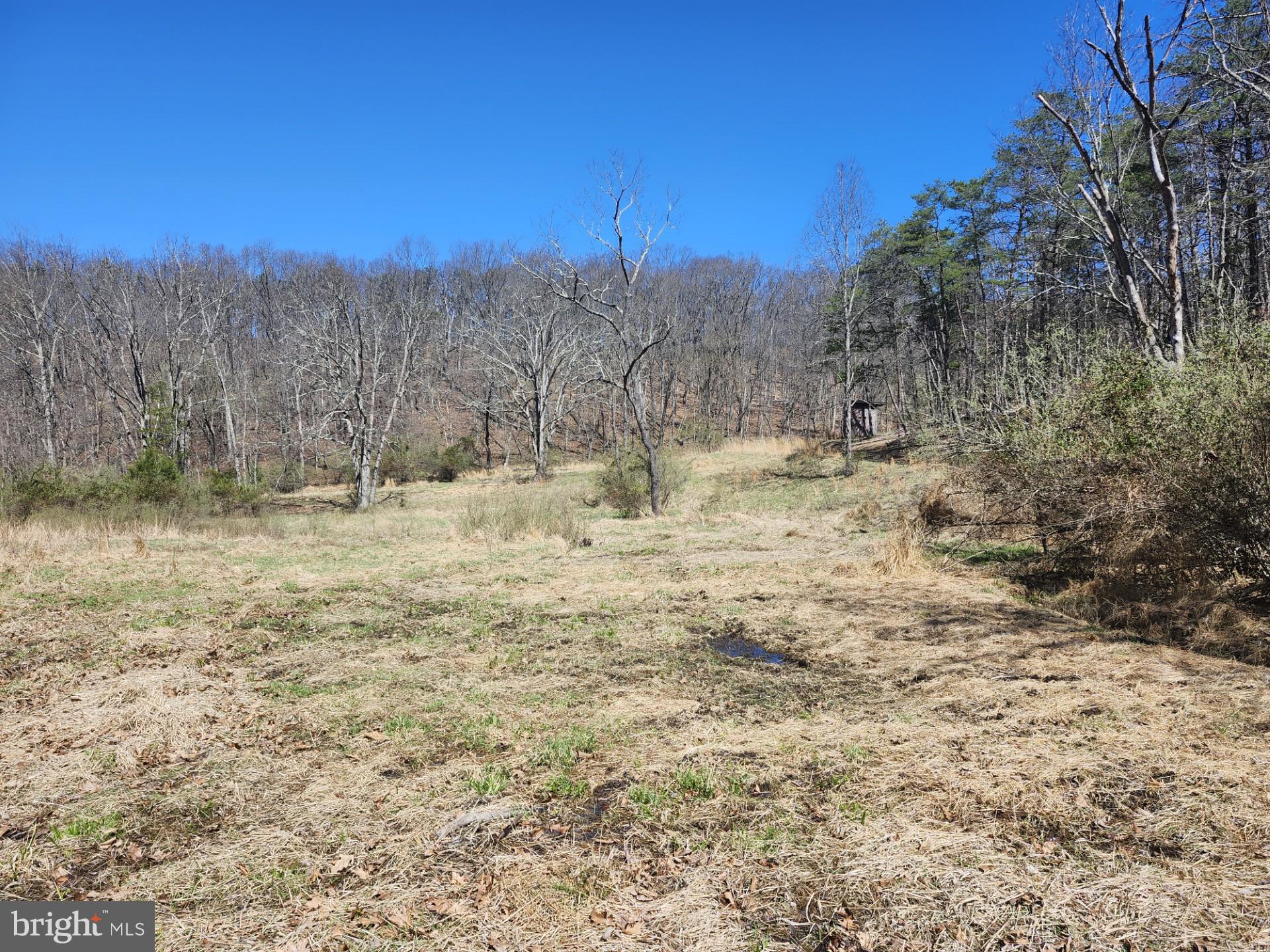 A J Kelley Road Old Fields, WV 26845 - Photo 17 of 65