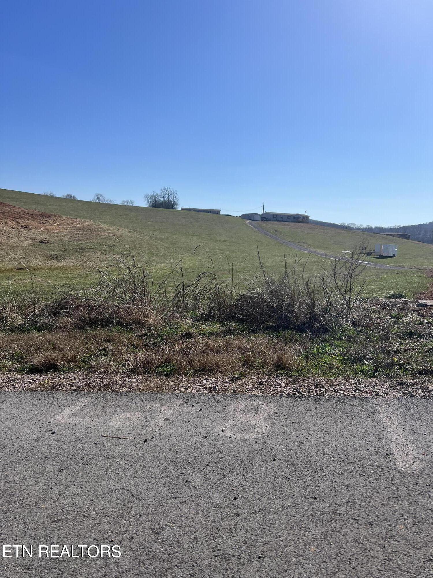 Lot 8 Schertz Lane Rutledge, TN 37861 - Photo 1 of 3 IMG_1211
