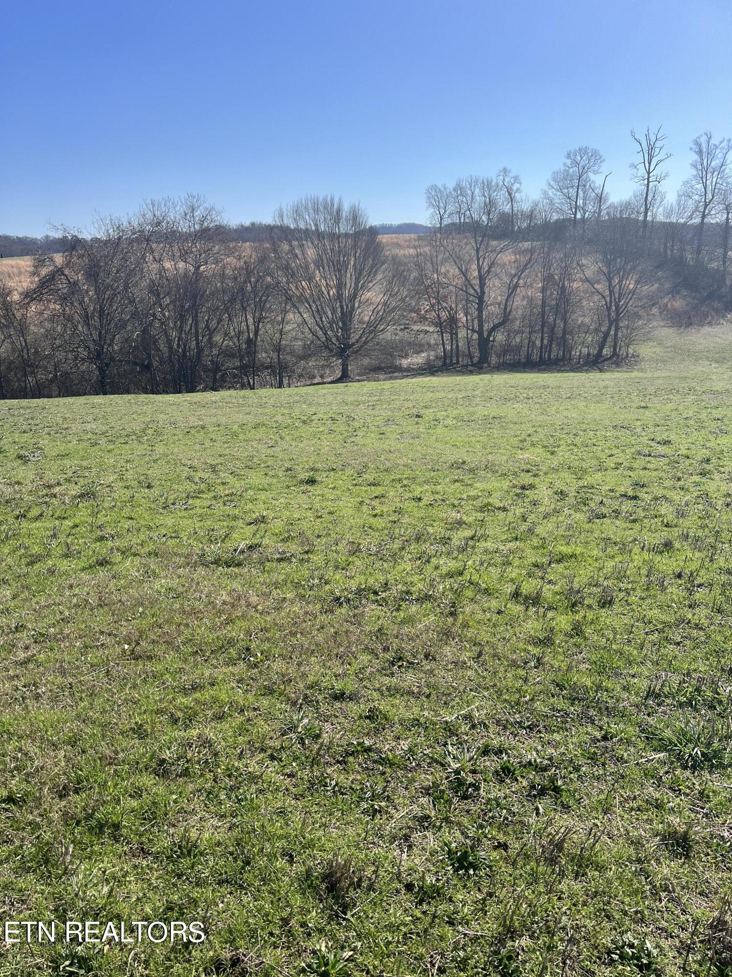Lot 8 Schertz Lane Rutledge, TN 37861 - Photo 2 of 3 IMG_1207