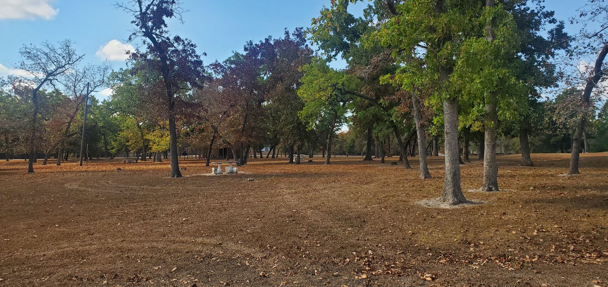 Lot 25 North Council Drive Hempstead, TX 77445 - Photo 21 of 27