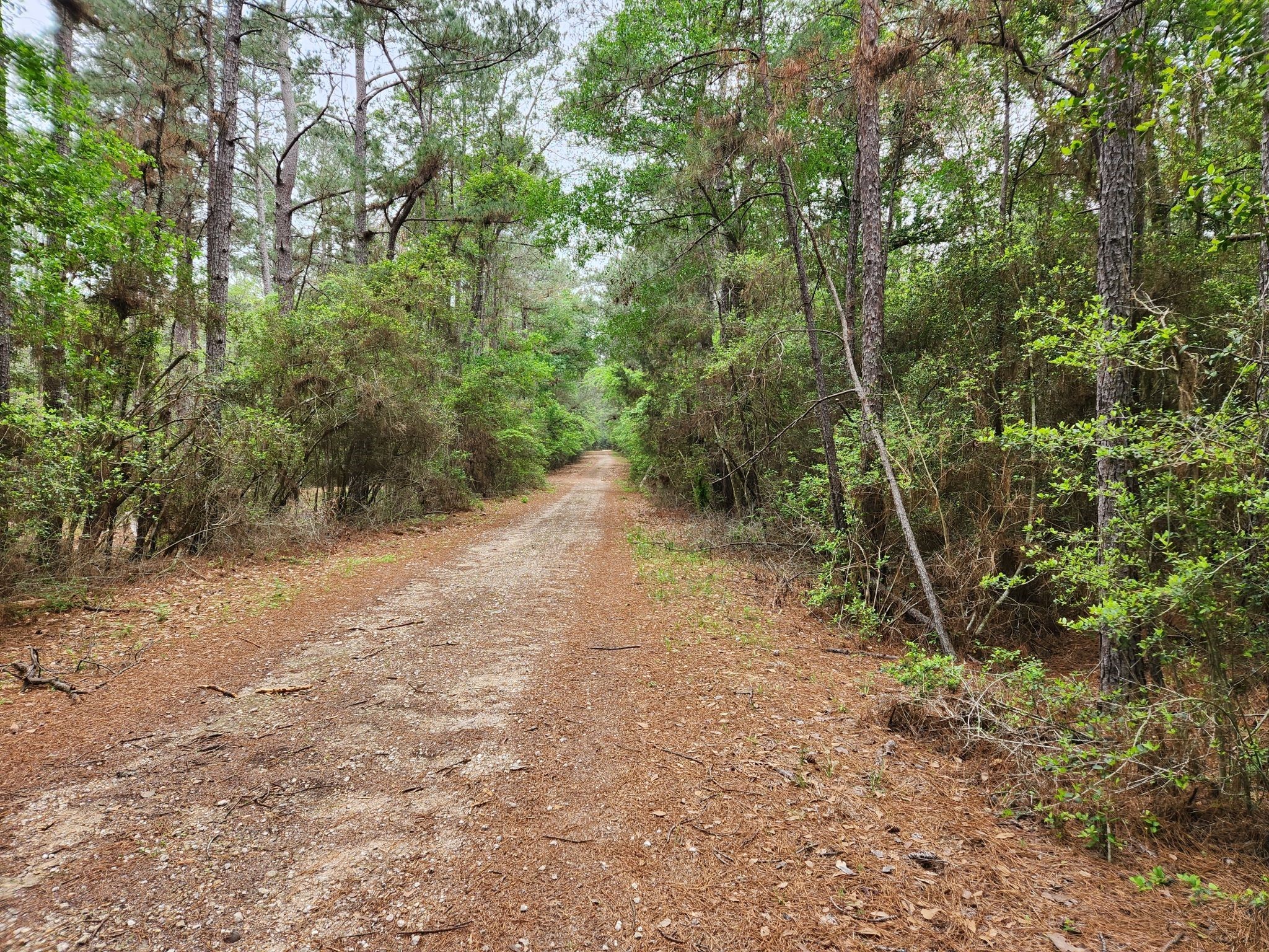 Lot 25 North Council Drive Hempstead, TX 77445 - Photo 7 of 27