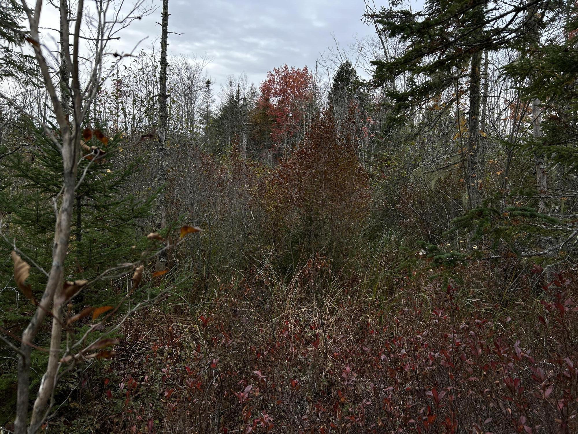 401 Genthner Road Waldoboro, ME 04572 - Photo 23 of 35