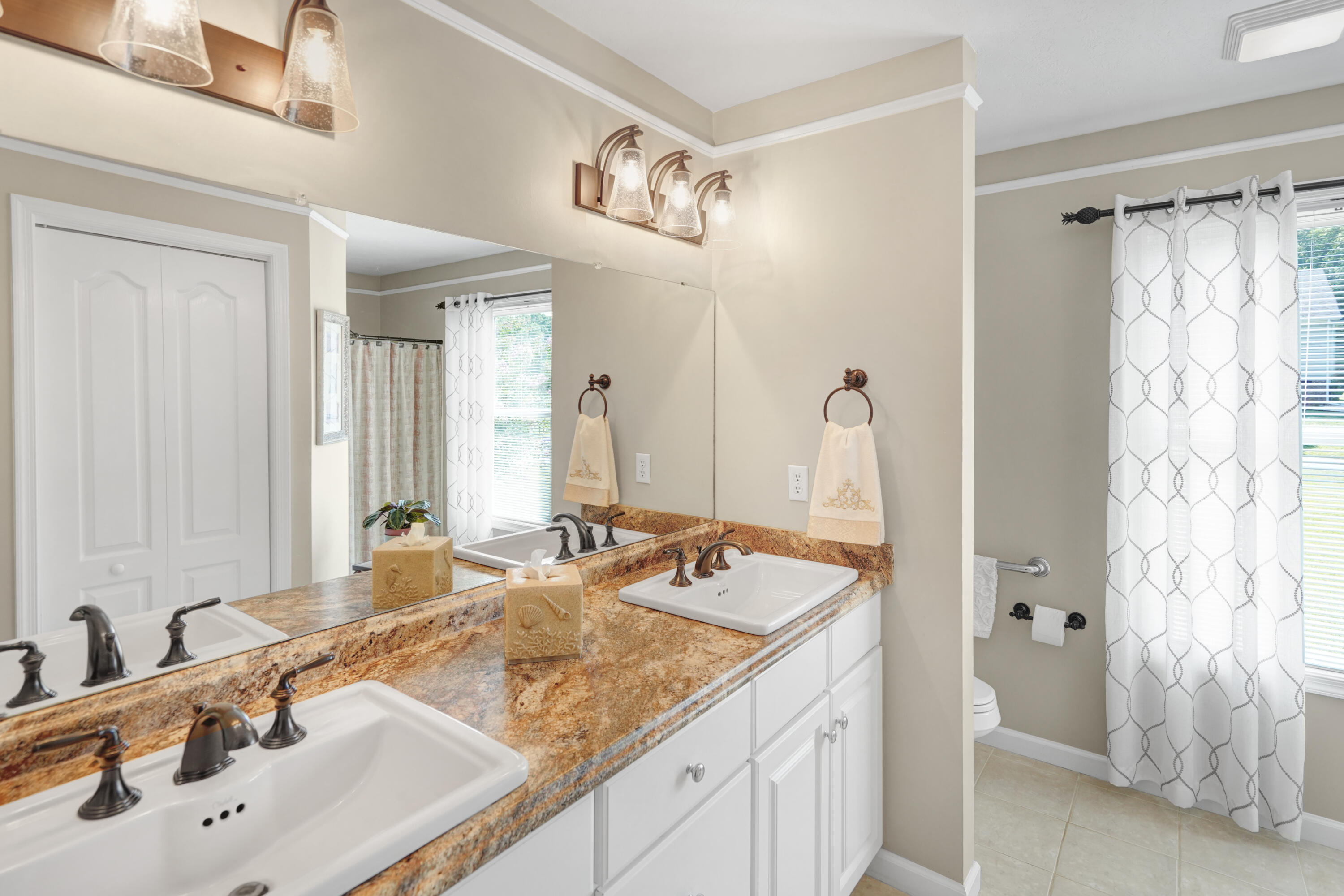 203 Indian Ridge Drive Moneta, VA 24121 - Photo 17 of 67 Primary Bathroom #1