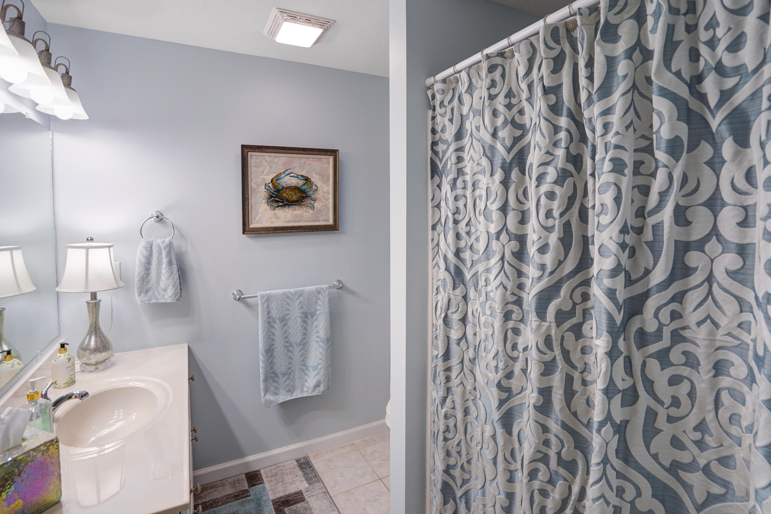 203 Indian Ridge Drive Moneta, VA 24121 - Photo 37 of 67 Primary Bathroom #2