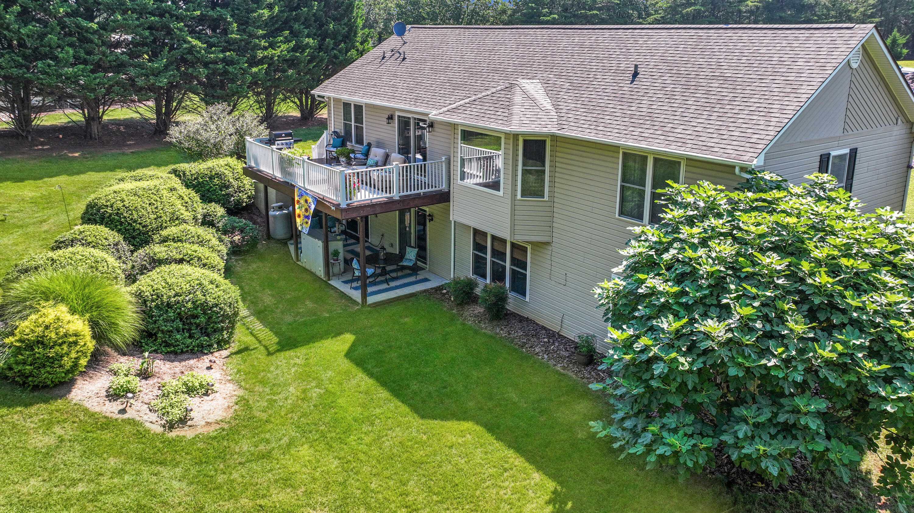 203 Indian Ridge Drive Moneta, VA 24121 - Photo 59 of 67 Rear View