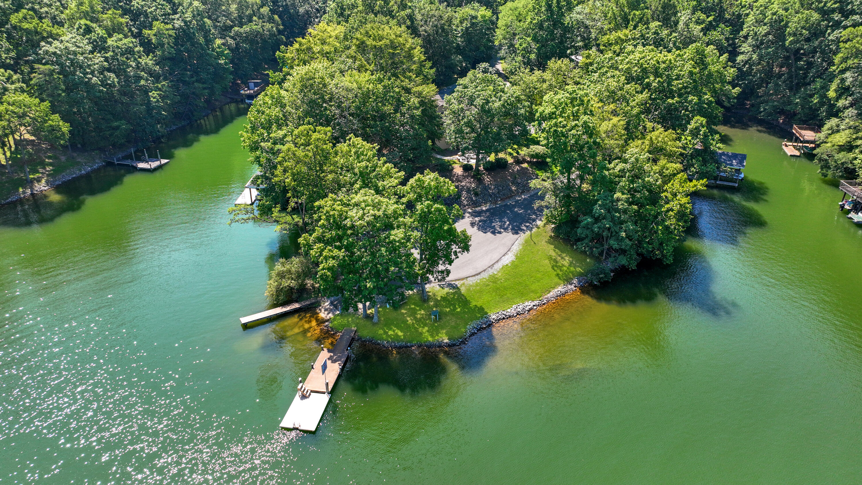203 Indian Ridge Drive Moneta, VA 24121 - Photo 65 of 67 Boat Ramp Area