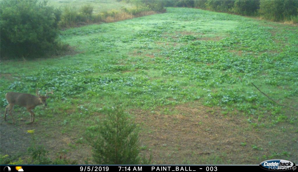 V/l Kelly Road Flushing, MI 48433 - Photo 19 of 23
