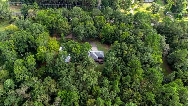 a view of a lush green forest