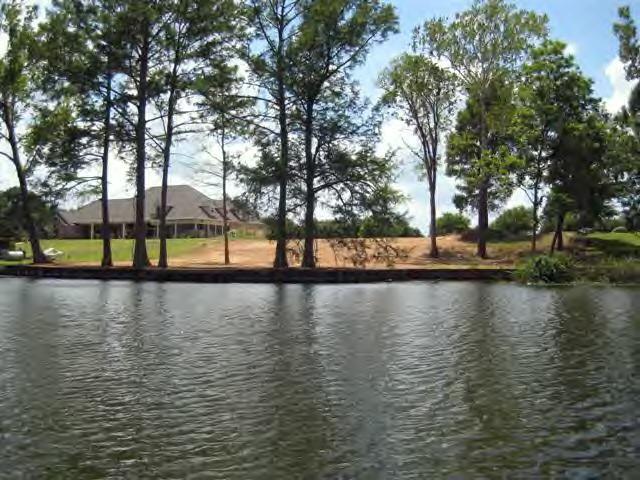 0 Starlight Point Natchitoches, LA 71457 - Photo 3 of 7