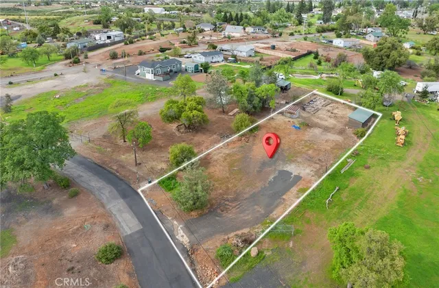 an aerial view of a tennis ground with a large tree