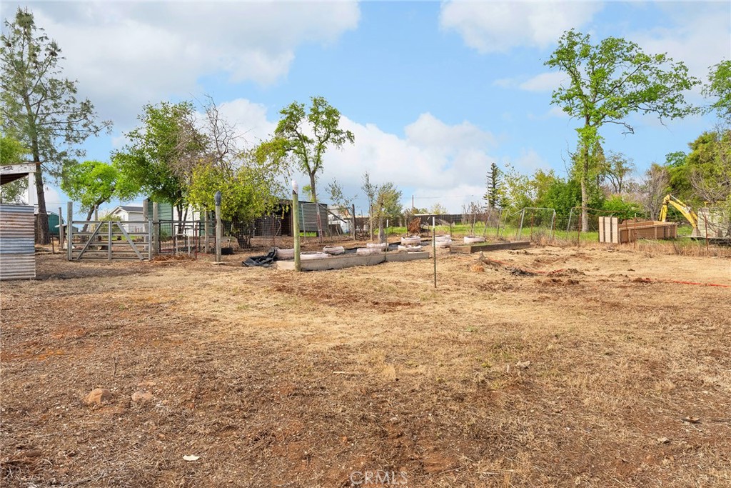 25 Wayland Road Paradise, CA 95969 - Photo 5 of 12 a row of palm trees and a yard