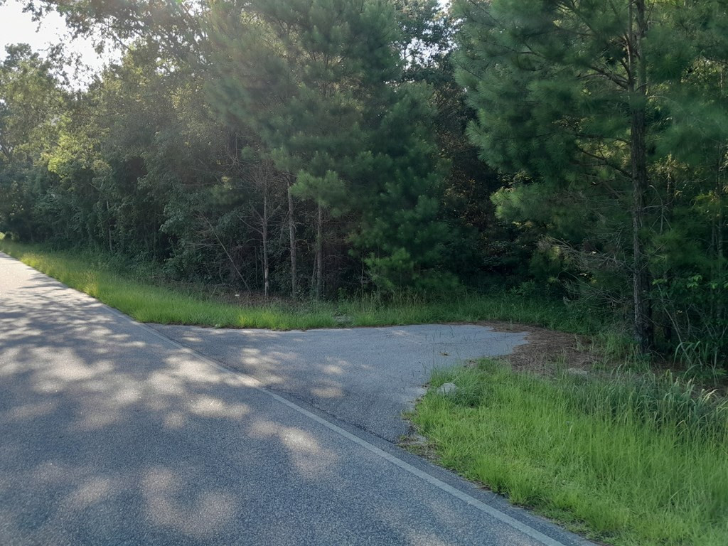 0 Thomas Walters Road Pineville, SC 29468 - Photo 3 of 3