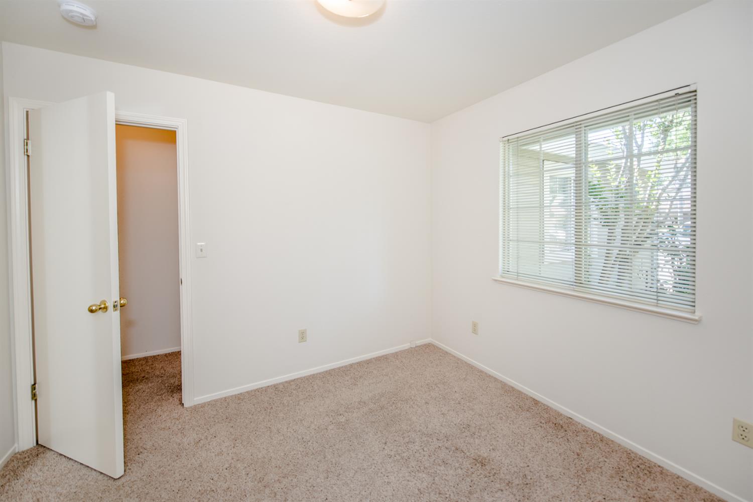 105 Colby Lane Winters, CA 95694 - Photo 39 of 61