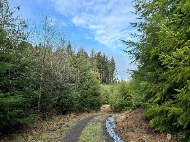 a view of a pathway both side of yard