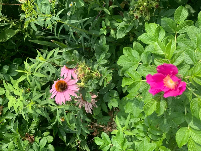 $510,000 | 18 Belgrade Road, Oakland, ME 04963