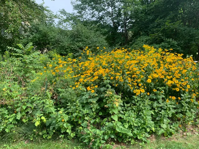 $510,000 | 18 Belgrade Road, Oakland, ME 04963