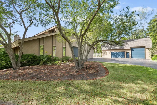 a tree in front of a house with a yard