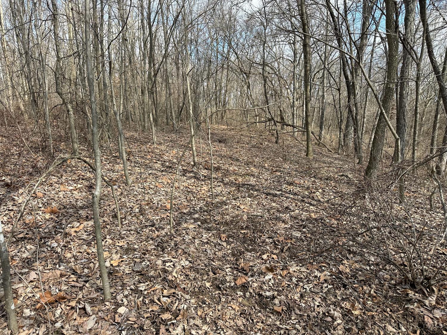 0 Wilson Road Winchester, OH 45697 - Photo 41 of 69