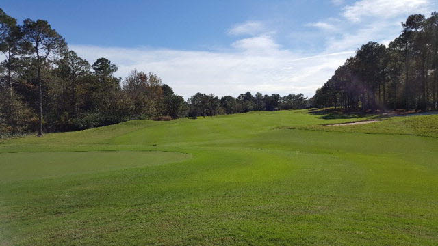 100 Craigend Loop Gulf Shores, AL 36542 - Photo 37 of 39