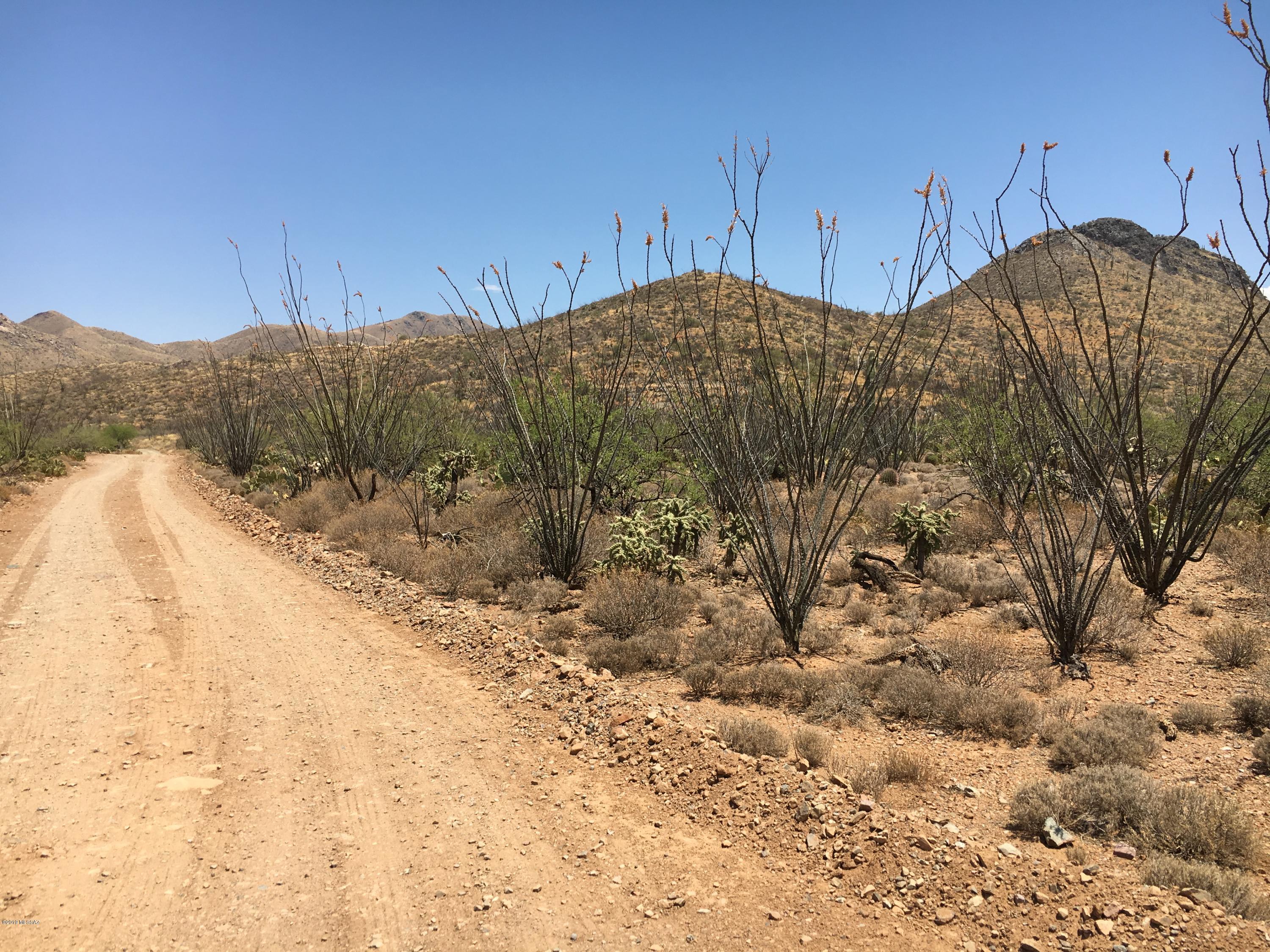 South Ocotillo Rim Place Vail, AZ 85641 - Photo 4 of 6 Gallery Image 4