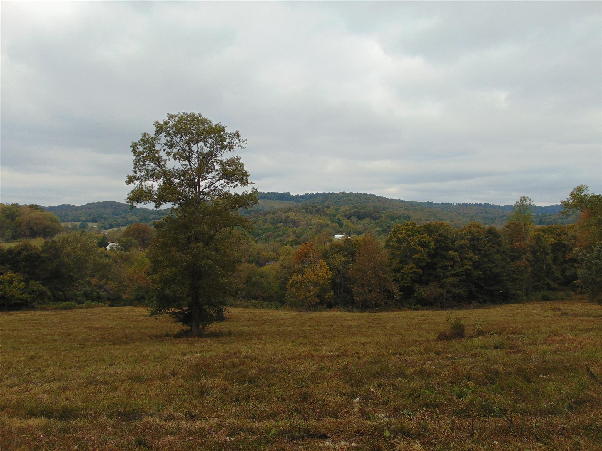 1901 Hickman Road Alexandria, TN 37012 - Photo 15 of 17 Gallery Image 15