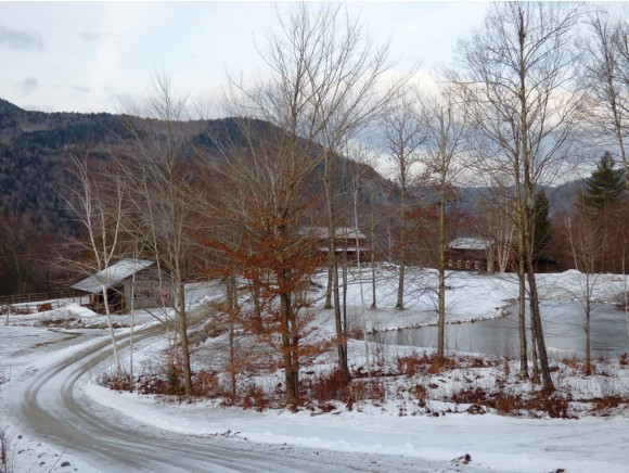 561 Plumb Road Townshend, VT 05353 - Photo 1 of 1
