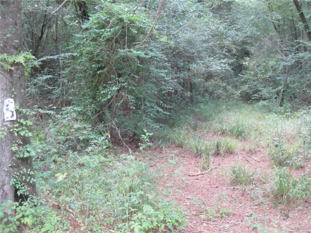 0 Belle Gardner Road Amite, LA 70422 - Photo 2 of 7