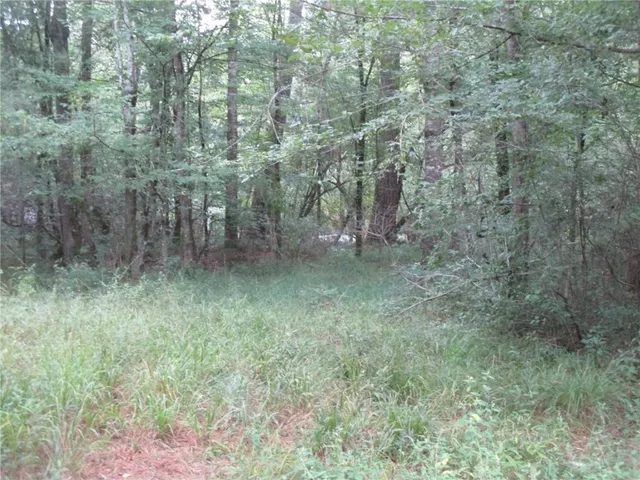 $723,600 | 0 Belle Gardner Road, Amite, LA 70422